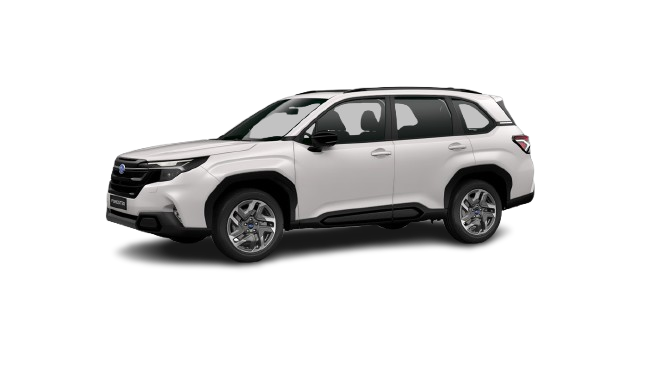 26140e20fa4205a8058fe65216dead-removebg-preview