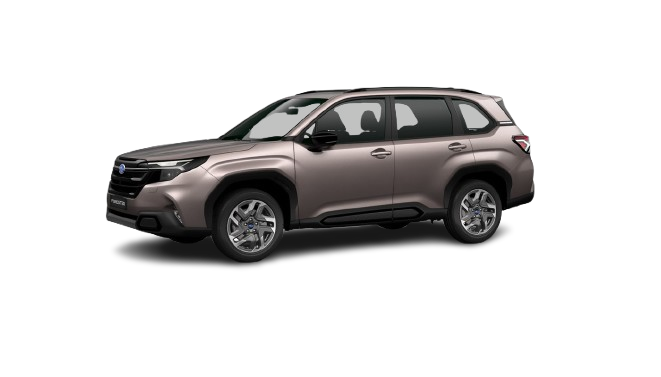 4fadbc96974b3ca2ee70b698da7801-removebg-preview